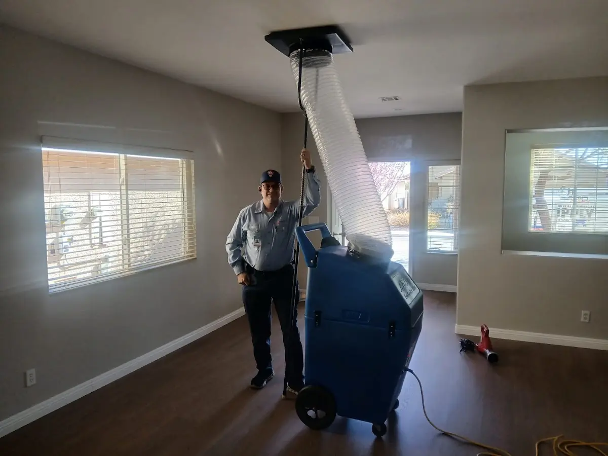 Professional Dryer Vent Cleaning work inside a Johnson City home